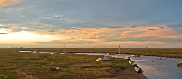 The Blakeney salt marsh. (Photo: Gerry Balding)
